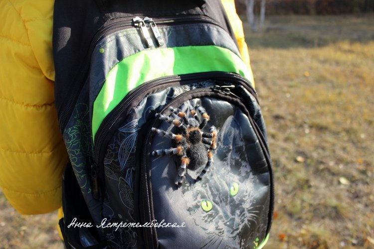 Гриша — Валяные игрушки из шерсти: сухое валяние (фото 9)