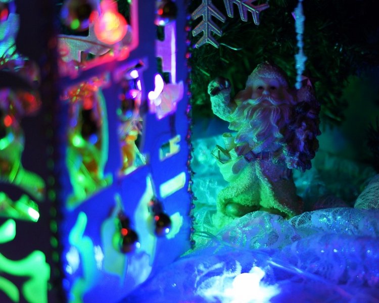 Праздничный фонарь — Другие хобби и увлечения: сад