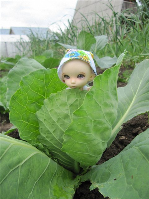 К нам приехал, к нам приехал... Феликс Поцелуйкин дорогой! Realpuki, БЖД (фото 2)