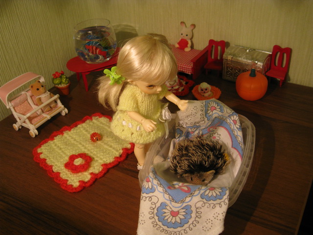 Неожиданная находка! Элис, PukiFee Ante