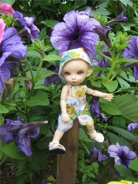 Воспоминания о лете. Куклы БЖД | Бэйбики Воспоминания о лете. Куклы БЖД