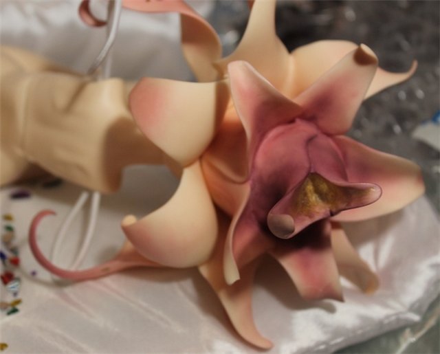 Первый Весенний Цветок! Anson, Dollzone (фото 9)