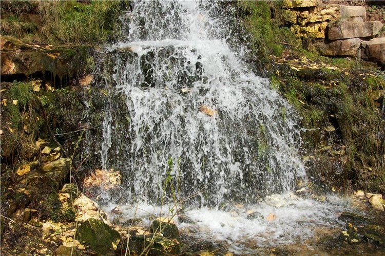 На водопад с Райли. Riley от автора Helen Kish