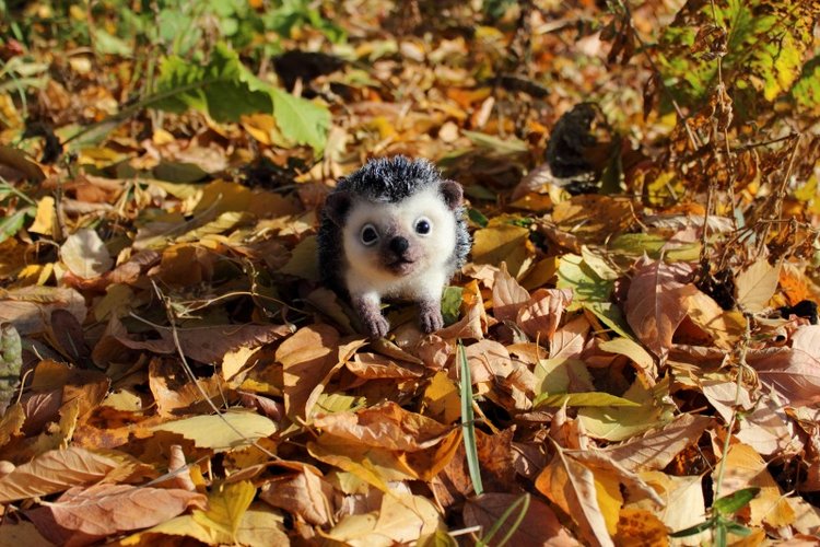 Ежуня. Валяние из шерсти — Валяные игрушки из шерсти: сухое валяние (фото 5)