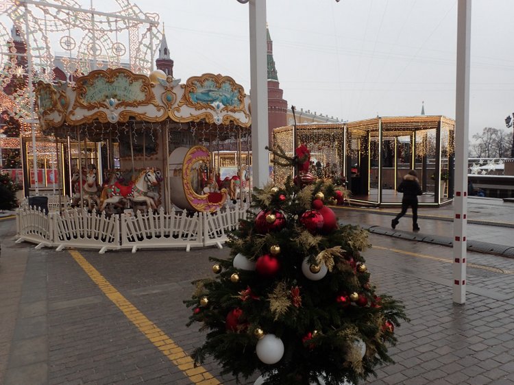 Путешествие за Новогодними впечатлениями в Москву. Часть 1 (фото 3)