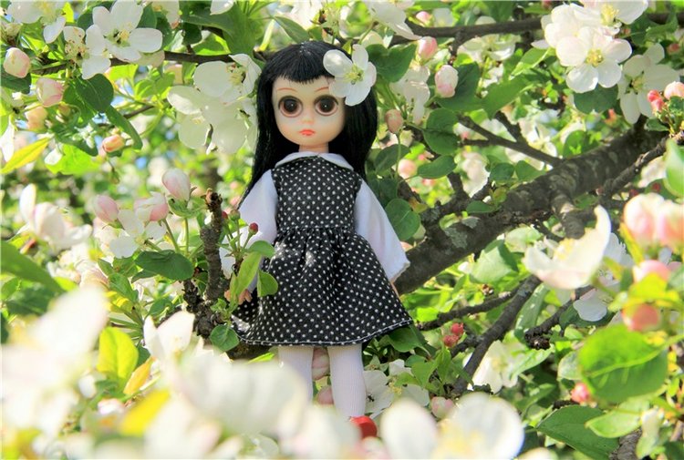 Блайзочки на природе — Оригинальные куклы Blythe (Блайз): Takara
