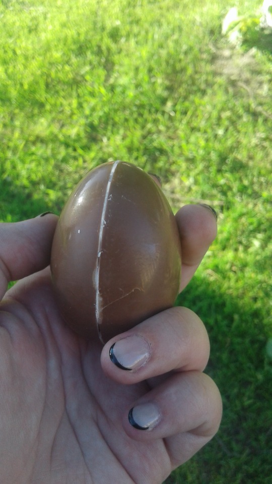 Природа Пскова: из весны в лето