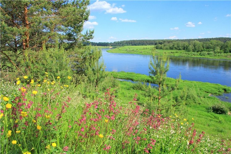 Нежный Июнь — Антикварные куклы Simon & Halbig (S&H): Симон Хальбиг (фото 4)