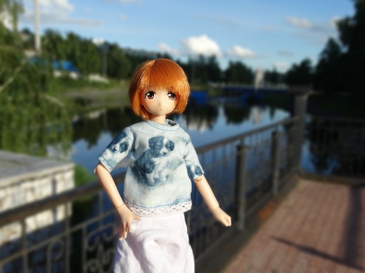 Путешествие с Азоночками Azone doll