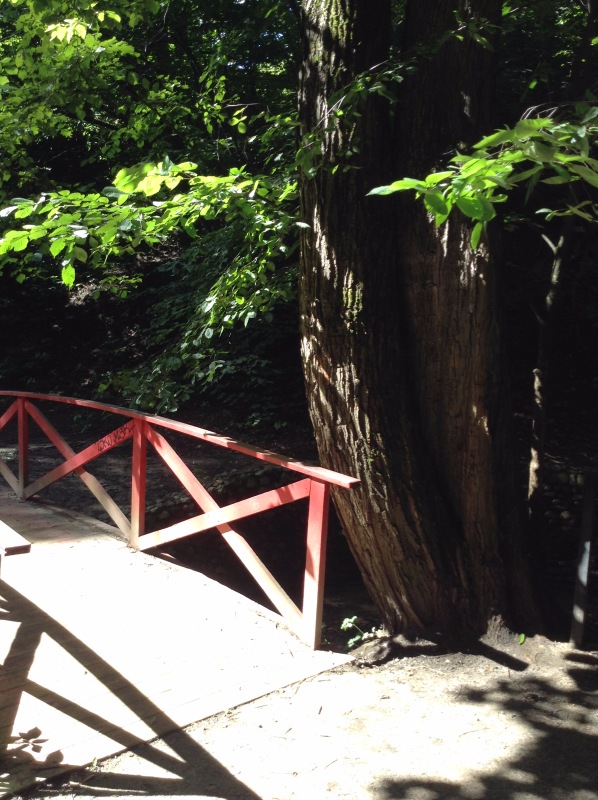 "Есть на Москве места такие..." ч.2. Тайны Коломенского оврага