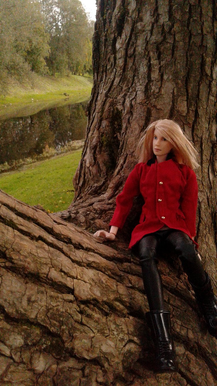 Зимнее солнце. Глава 6. Дом там, где сердце (фото 5)