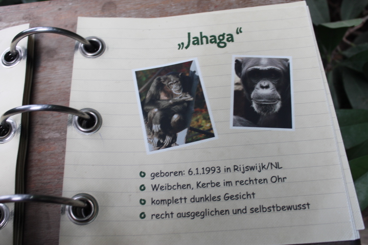 По Германии: зоопарк Лейпцига, часть 3