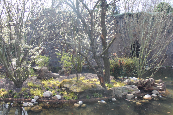 По Германии: зоопарк Лейпцига, часть 1 (фото 5)