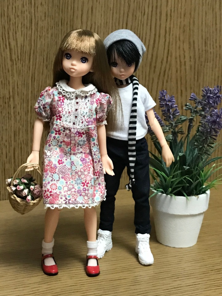 Крошки Руроко — Куклы Momoko и Ruruko (Petworks (фото 9)