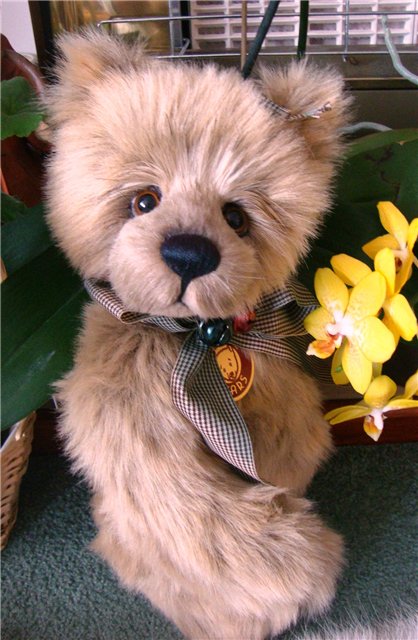 Задорная и немного грустная мишка Тедди по имени Мэри от Изабель Ли (Isabelle Lee), CHARLIE BEARS collection