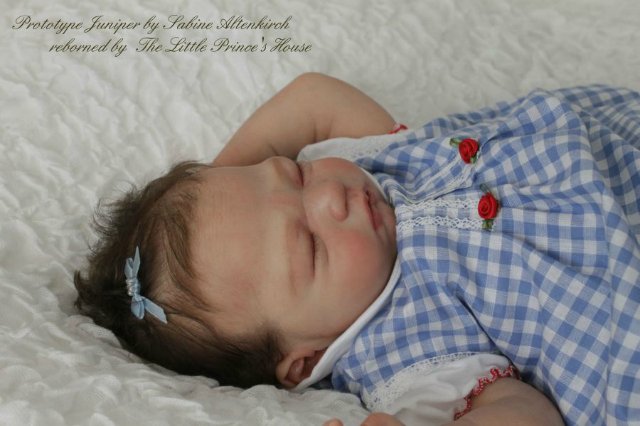 Прекрасная спящая белоснежка Прототип молда Juniper kit by Sabine Altenkirch (фото 8)