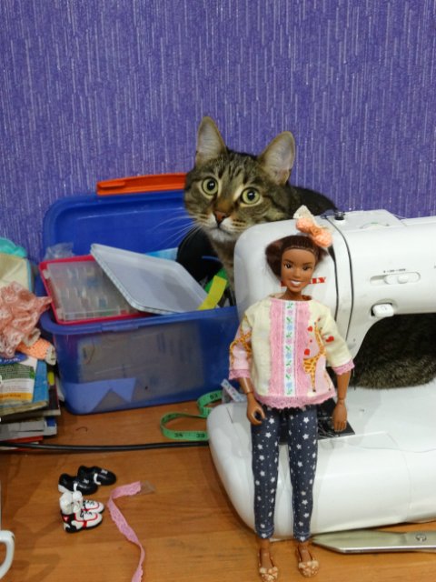 Новые наряды для новых девочек