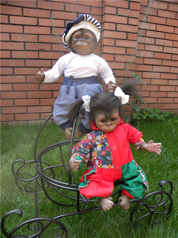 Необычное пополнение в моем доме