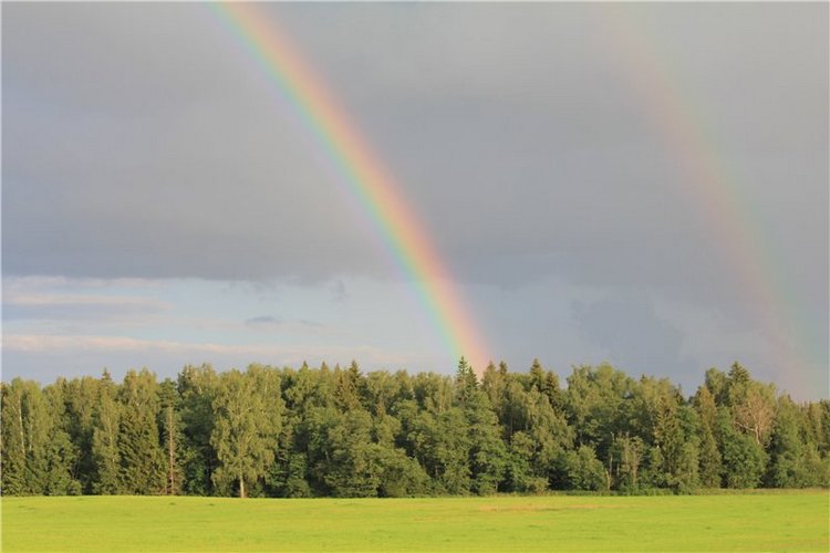 Прерванная дружба (продолжение). Наби спешит на помощь