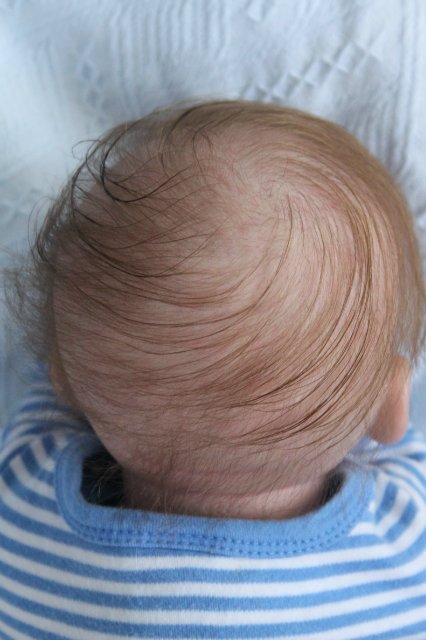 Малышок кукла-реборн Элины Кудрявцевой (фото 10)