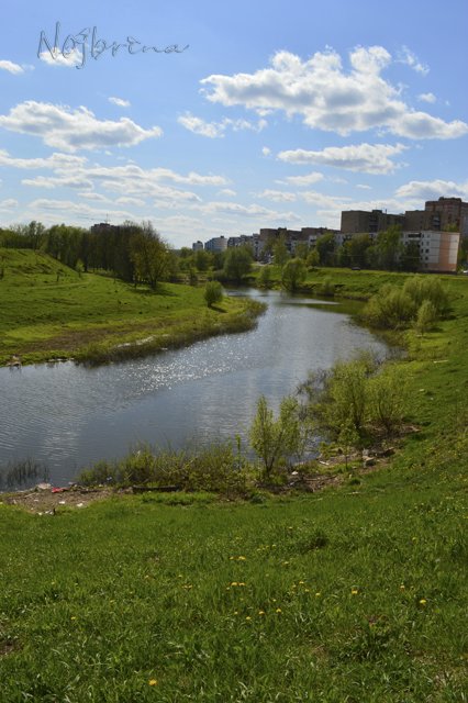 Яркие краски. Вихтели Rosemarie Anna Muller