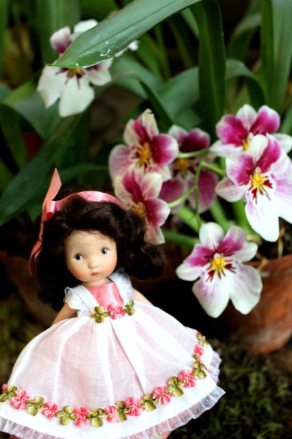 Цветочные феи - Ненси Энн, Диана Эффнер