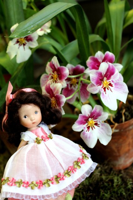 Цветочные феи - Ненси Энн, Диана Эффнер