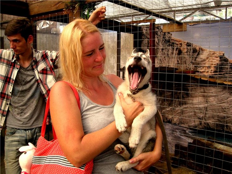 Лето. Солнце. Море. Всё смешалось - звери, куклы. Часть2 | Бэйбики Лето. Солнце. Море. Всё смешалось - звери, куклы. Часть2 (фото 3)