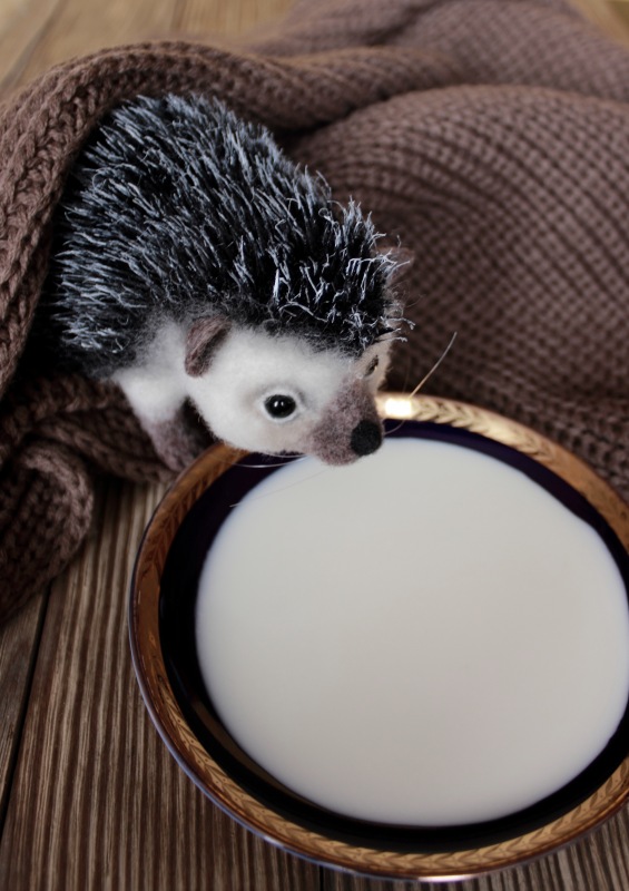 Ежуня. Валяние из шерсти — Валяные игрушки из шерсти: сухое валяние