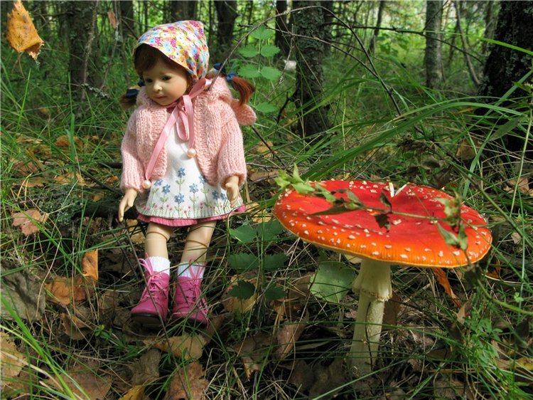 Осенний блюз — Куклы Heidi Plusczok (Хайди/Хейди Плюсчок) — фото (фото 9)