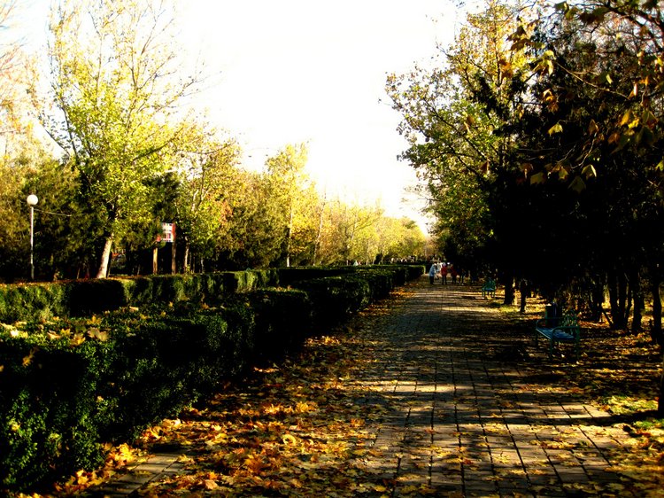 Путешествие к морю. Коллекционная кукла Фрося. Flori, Rolanda Heimer, Schildkrot