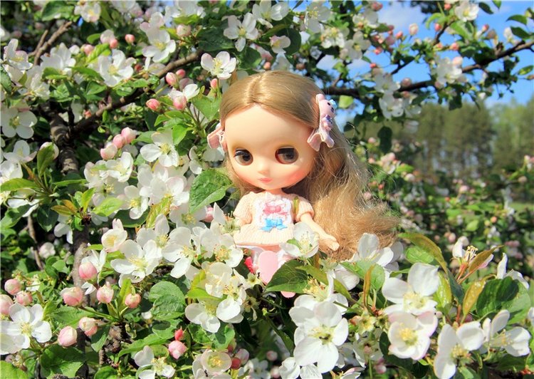 Блайзочки на природе — Оригинальные куклы Blythe (Блайз): Takara (фото 6)