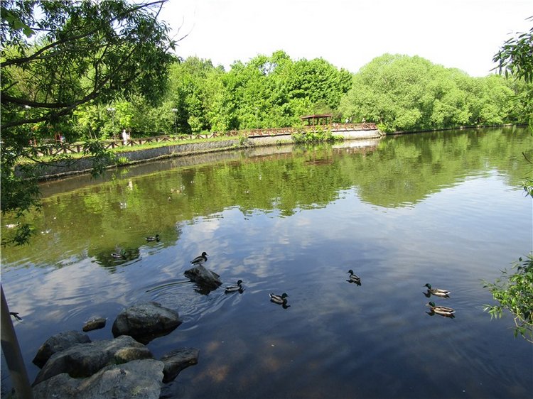 Непоседа Бетси Robert Tonner. Летний день в парке