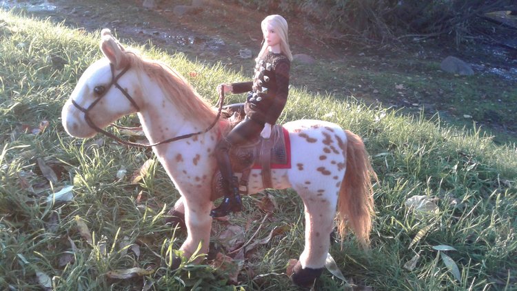 Зимнее солнце. Глава 6. Дом там, где сердце