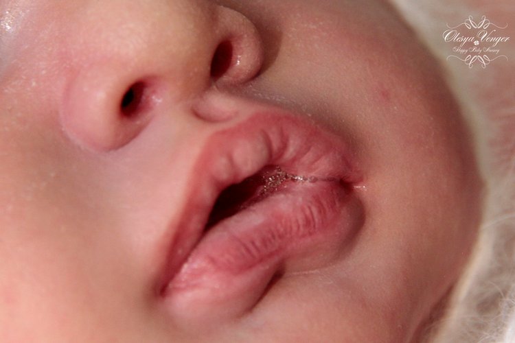 Моя Джульетта, мой котенок! Кукла реборн Олеси Венгер