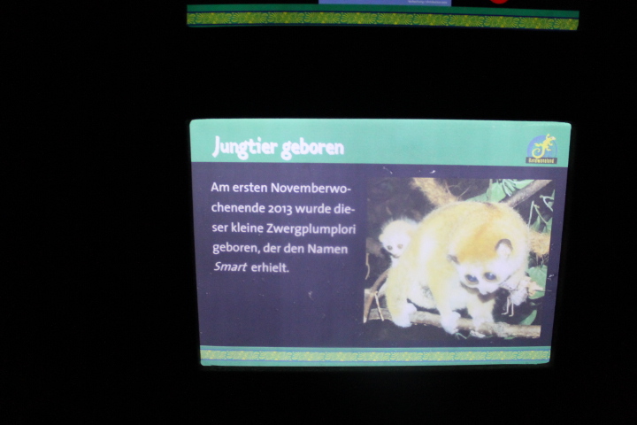 По Германии: зоопарк Лейпцига, часть 2