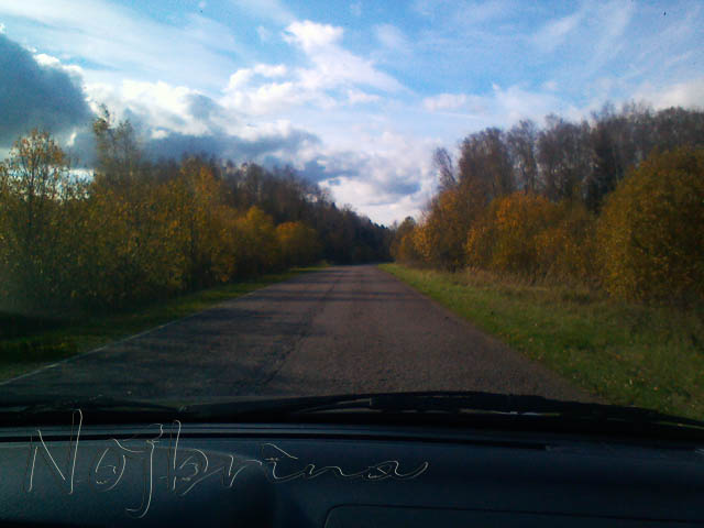 Осенняя поездка. Куклы Gotz и Berenguer (фото 2)