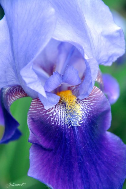 Моя вторая Olivia от Helen Kish | Бэйбики Моя вторая Olivia от Helen Kish