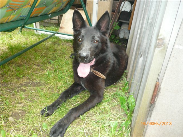 Настюша. Винтажная малышка