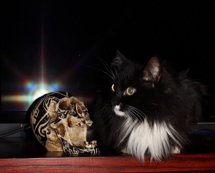 Уголочки мои драгоценные-2. Год спустя. Часть вторая, виниловая, авторская и всякая