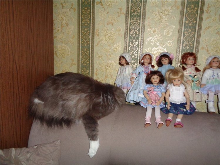 Я их посчитала... Коллекция виниловых кукол от Heidi Plusczok, часть 2