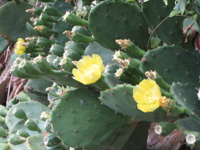 Моя Италия. Часть 2 - Леванто, Манарола