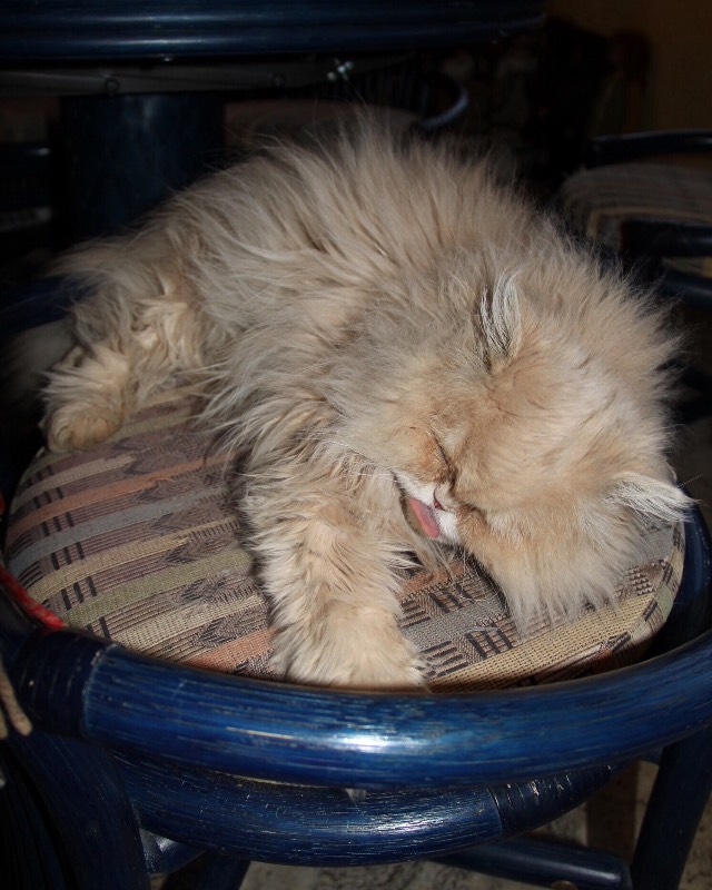 Уголочки мои драгоценные-2. Год спустя. Часть первая, БЖД-шная )