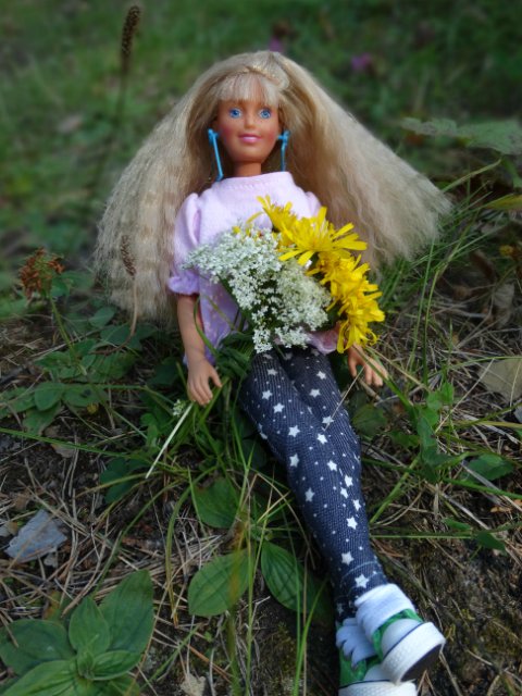 Девочки гуляют — Куклы Sindy (Синди) и Tammy (Тамми): винтаж