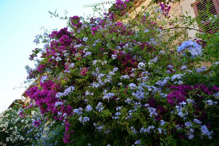 Ницца, Марсель, море и горы