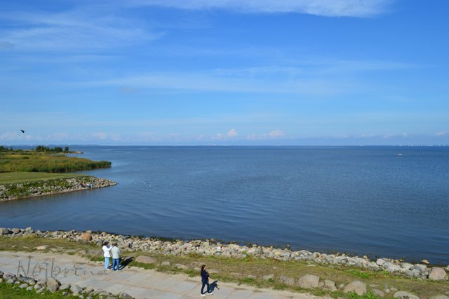 Питер - самый лучший город на земле! Вихтель Rosemarie Anna Muller