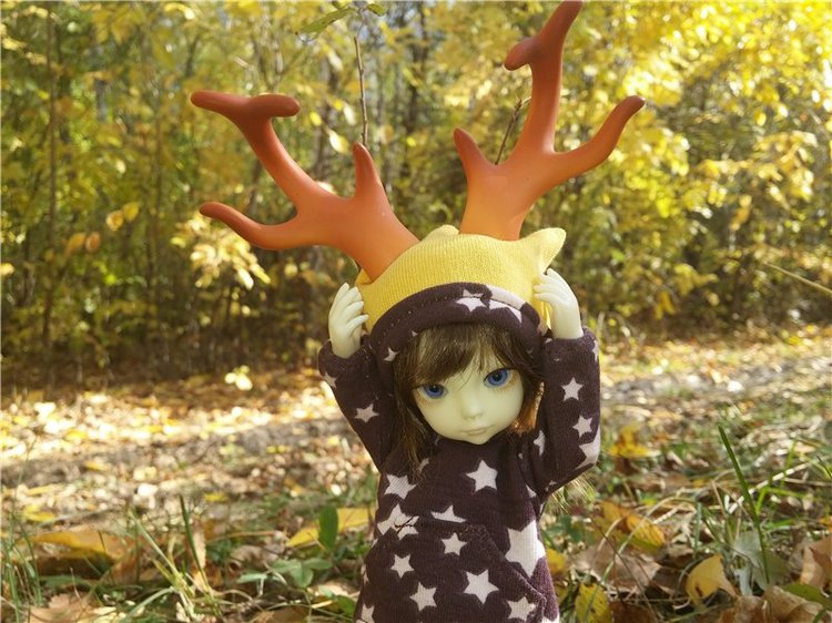 Осенний олененок — Куклы Fairyland (ФэйриЛэнд): BJD (БЖД)