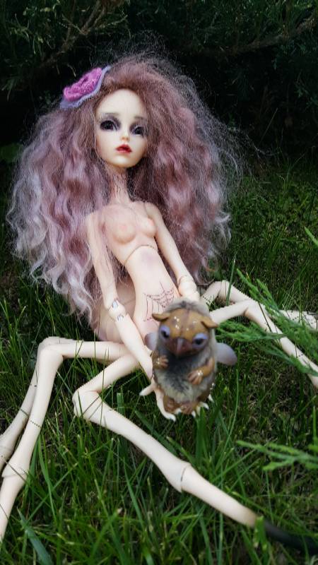 Катрина и волшебный лес-3