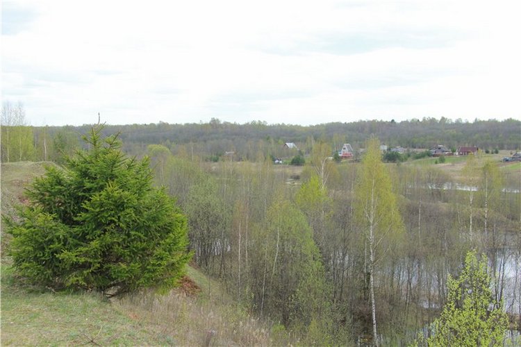 На водопад с Райли. Riley от автора Helen Kish