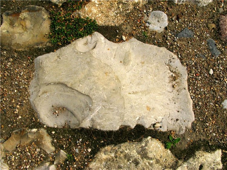 Старицкий православный фотофестиваль. Старицкий Свято-Успенский монастырь (фото 6)
